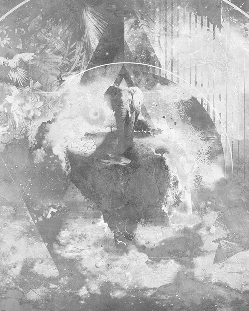 Dover Grey Cosmic African Jungle Mural M2974