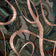 Emerald Forest (this color)