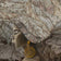 Aldabra Beige