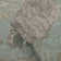 Grey Heron (this color)