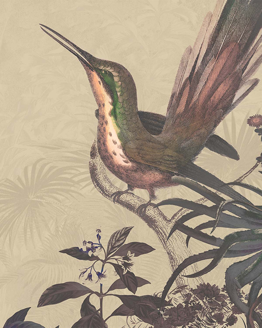 Stalactite Brown Exotic Hummingbird Mural M3021