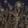 Sambucus