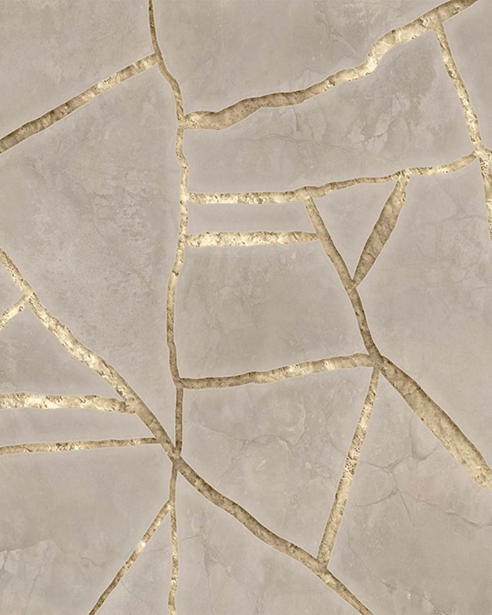 Desert Dune Cracked Wabi-Sabi Walls Mural M3063