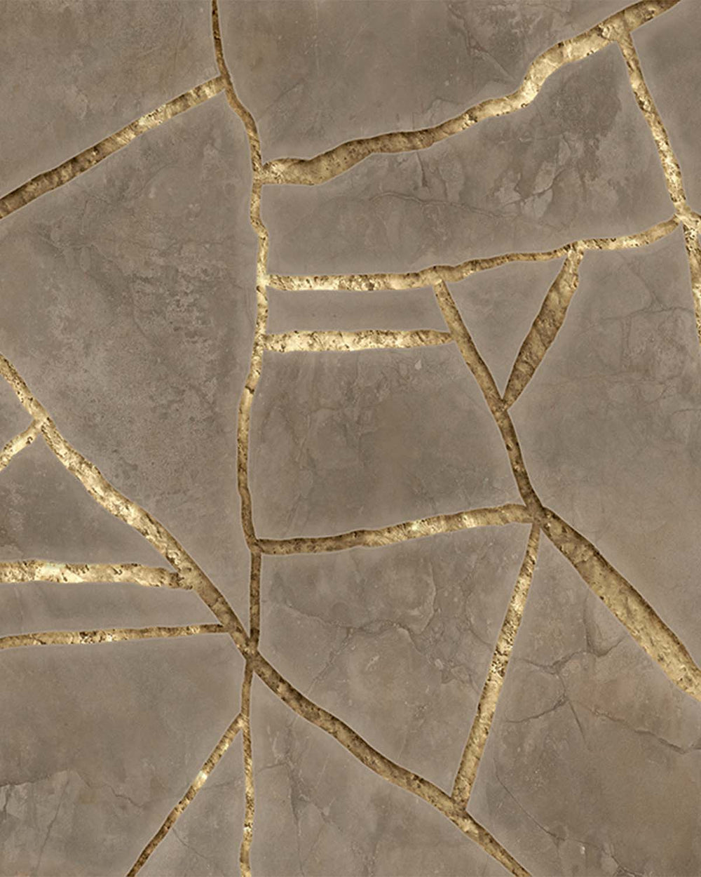 Dune Shadow Cracked Wabi-Sabi Walls Mural M3064