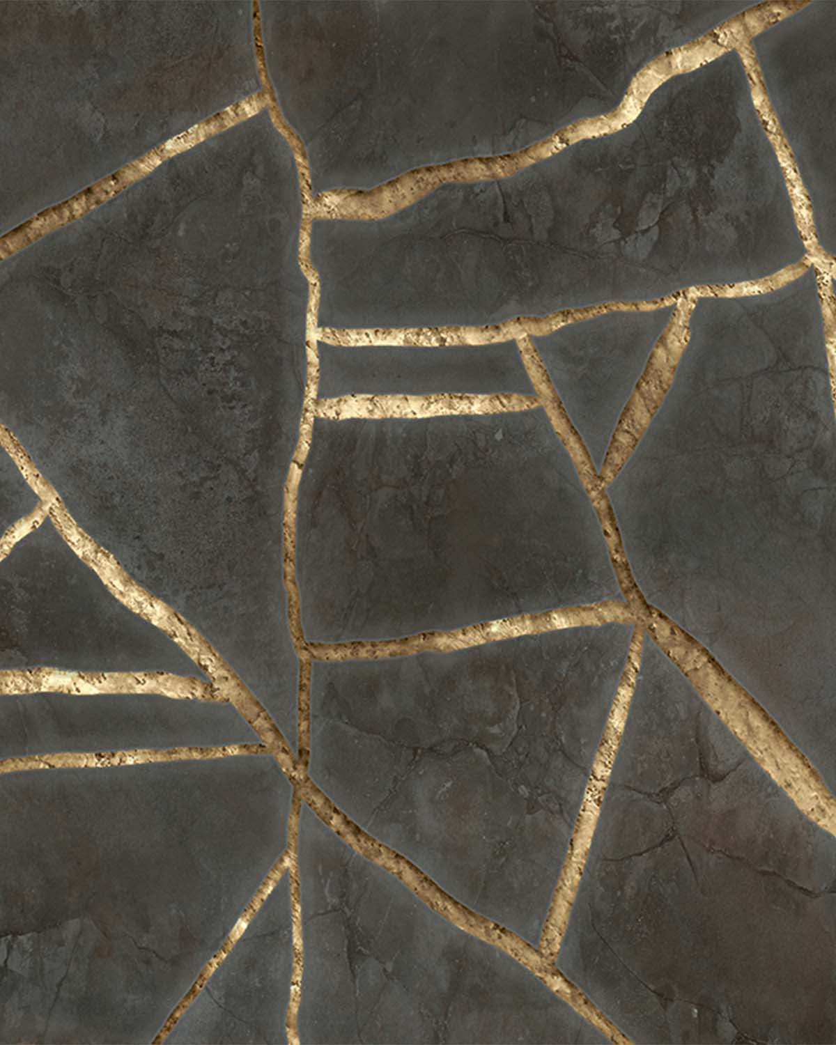 Black Olive Cracked Wabi-Sabi Walls Mural M3065 - Sample