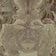 Tawny Owl