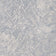 Astroscopus Grey (this color)
