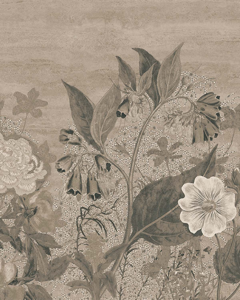 Hayden Valley Vintage Sketch Floral Mural M3138