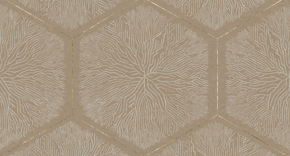 Pale Oyster Geometric Hexagonal Nature Mural M3146