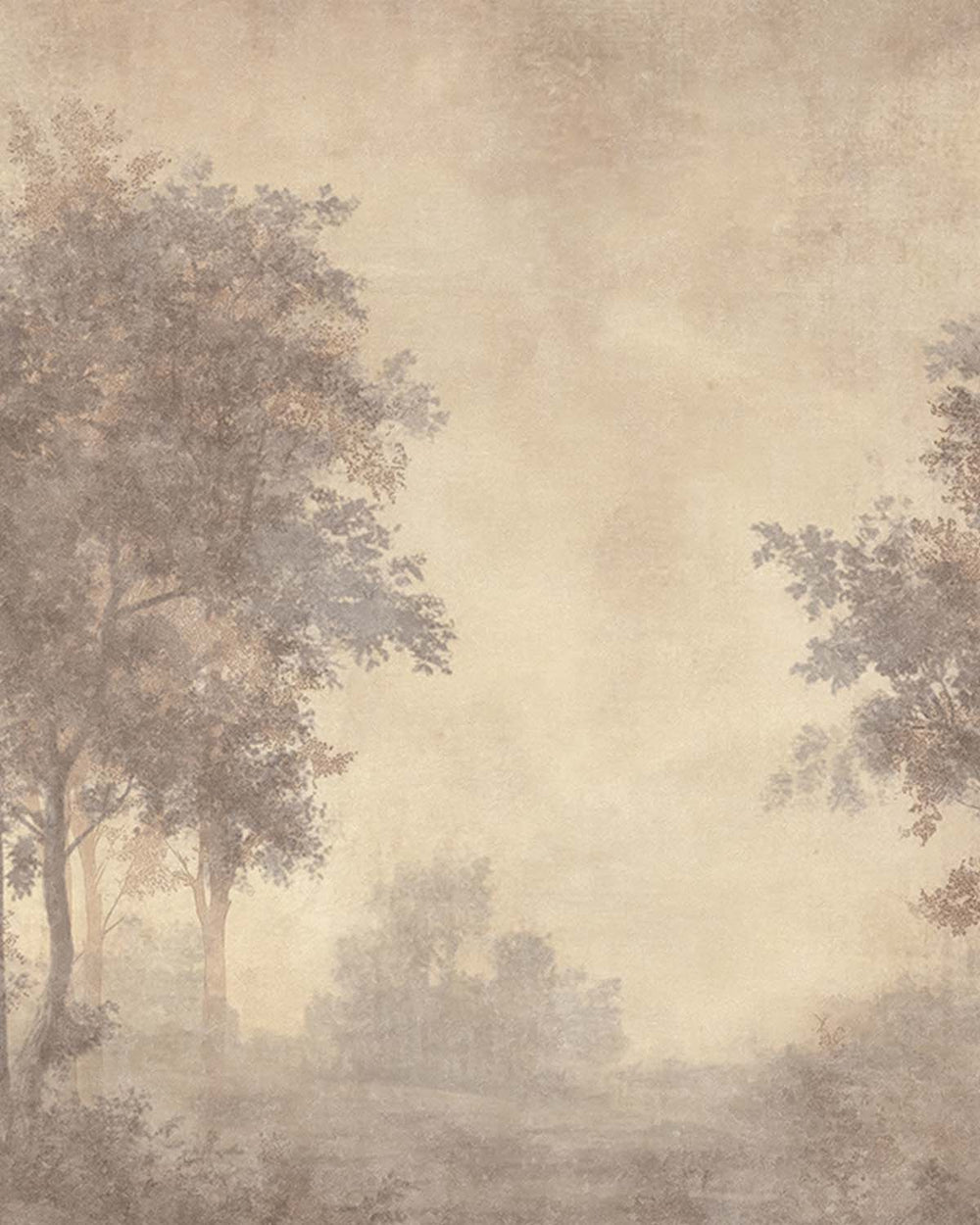 Oyster Grey Vintage Misty Morning Forest Mural M3169