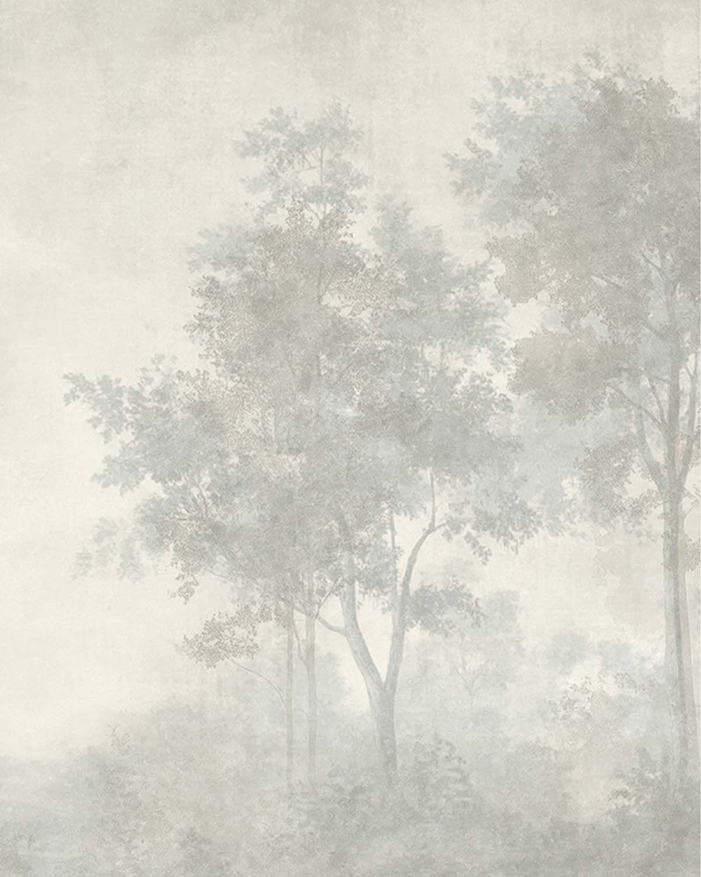 Pastel Grey Vintage Misty Morning Forest Mural M3170