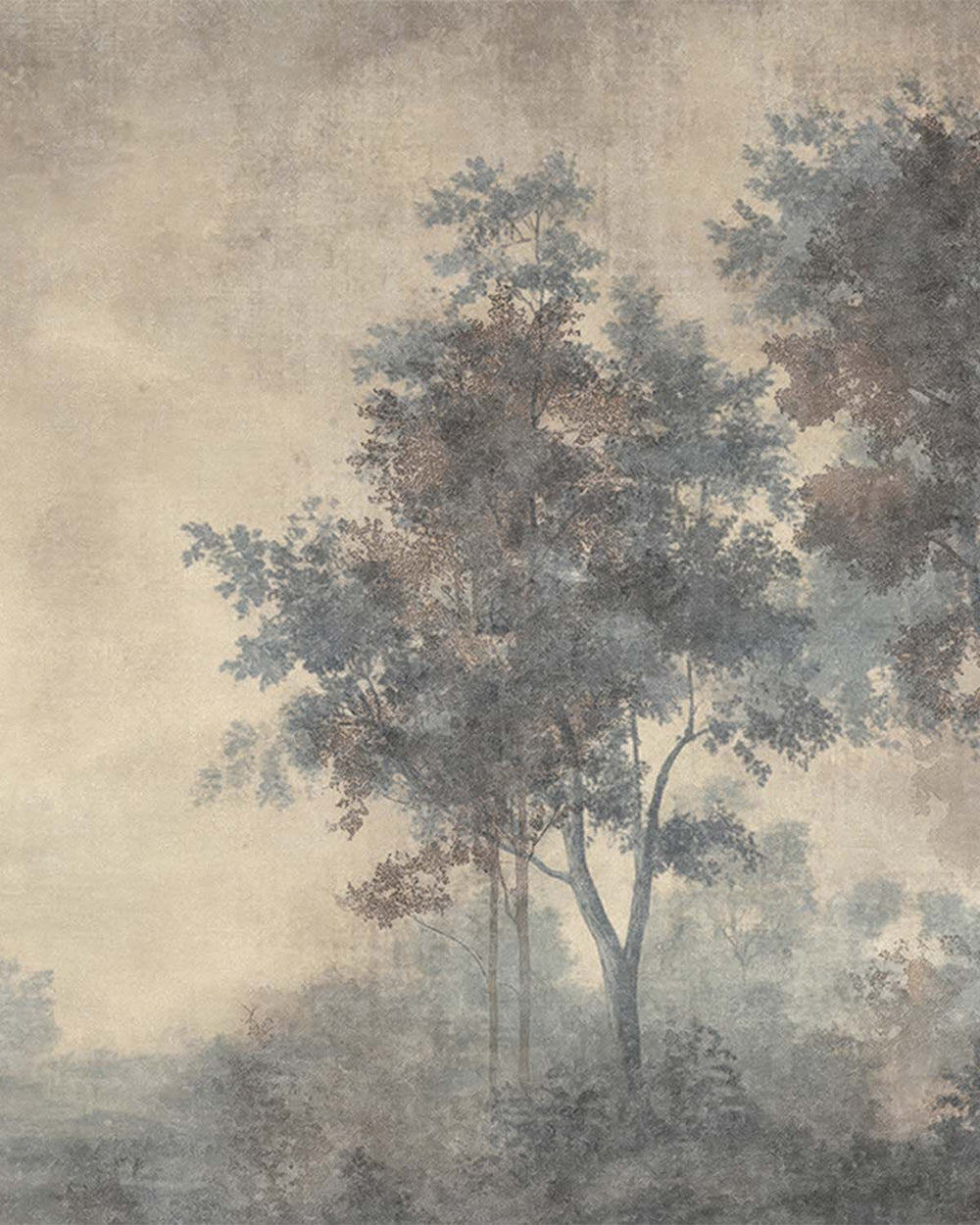 Dim Grey Vintage Misty Morning Forest Mural M3171