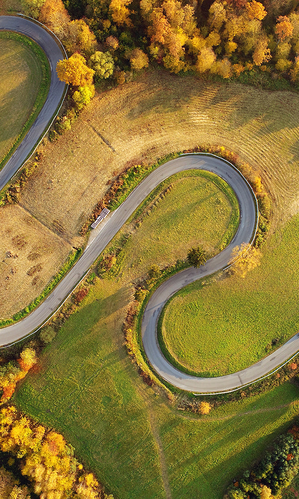 Concrete Snake Wall Mural M9402