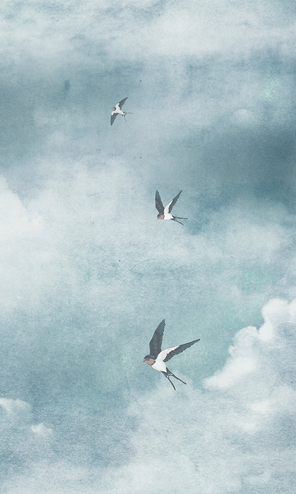 Migratory Swallows Murals M2641