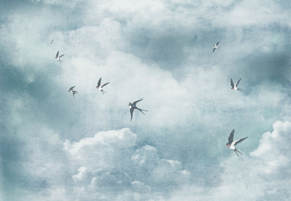 Migratory Swallows Murals M2641