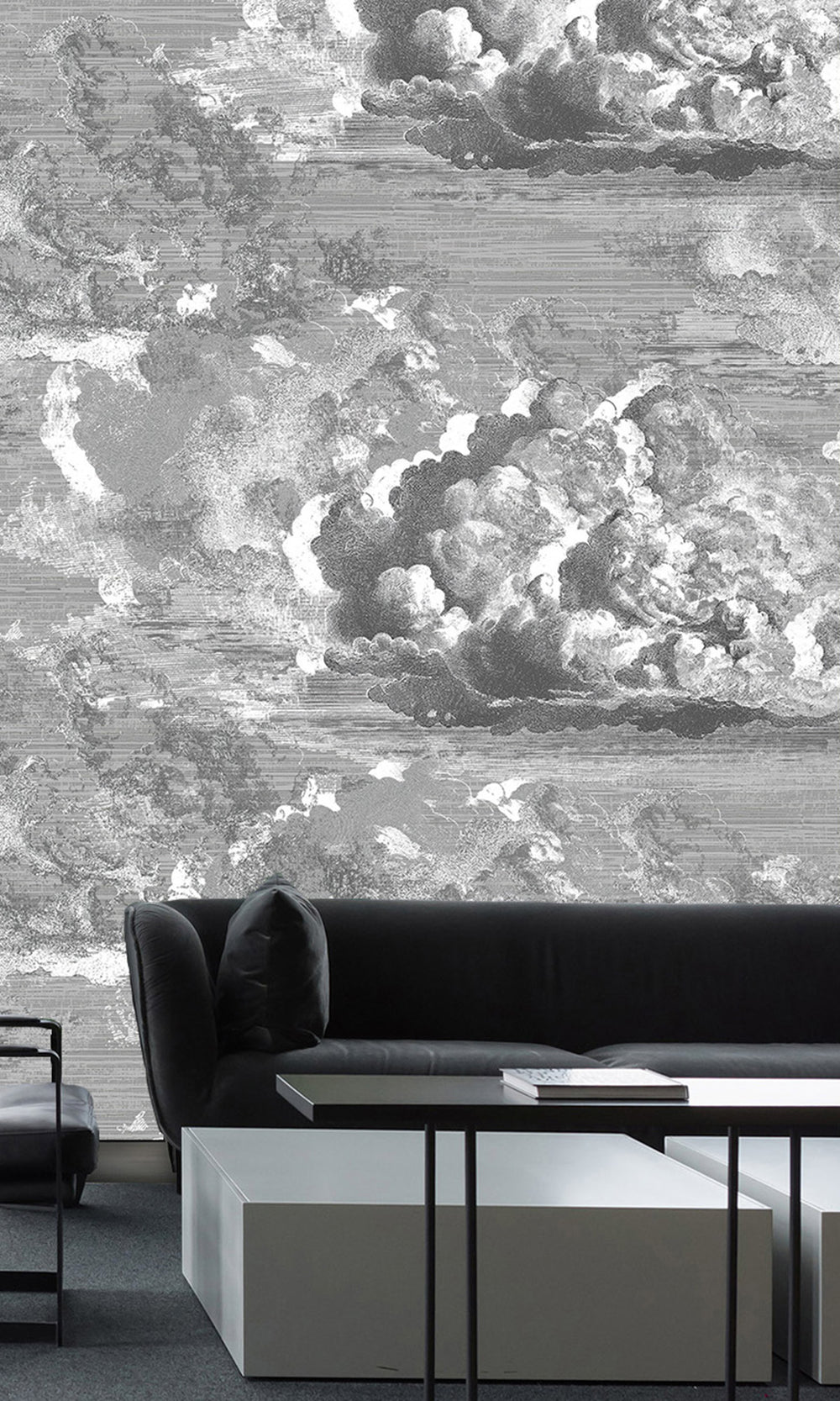 Abstract Clouds Murals M2644 - Sample