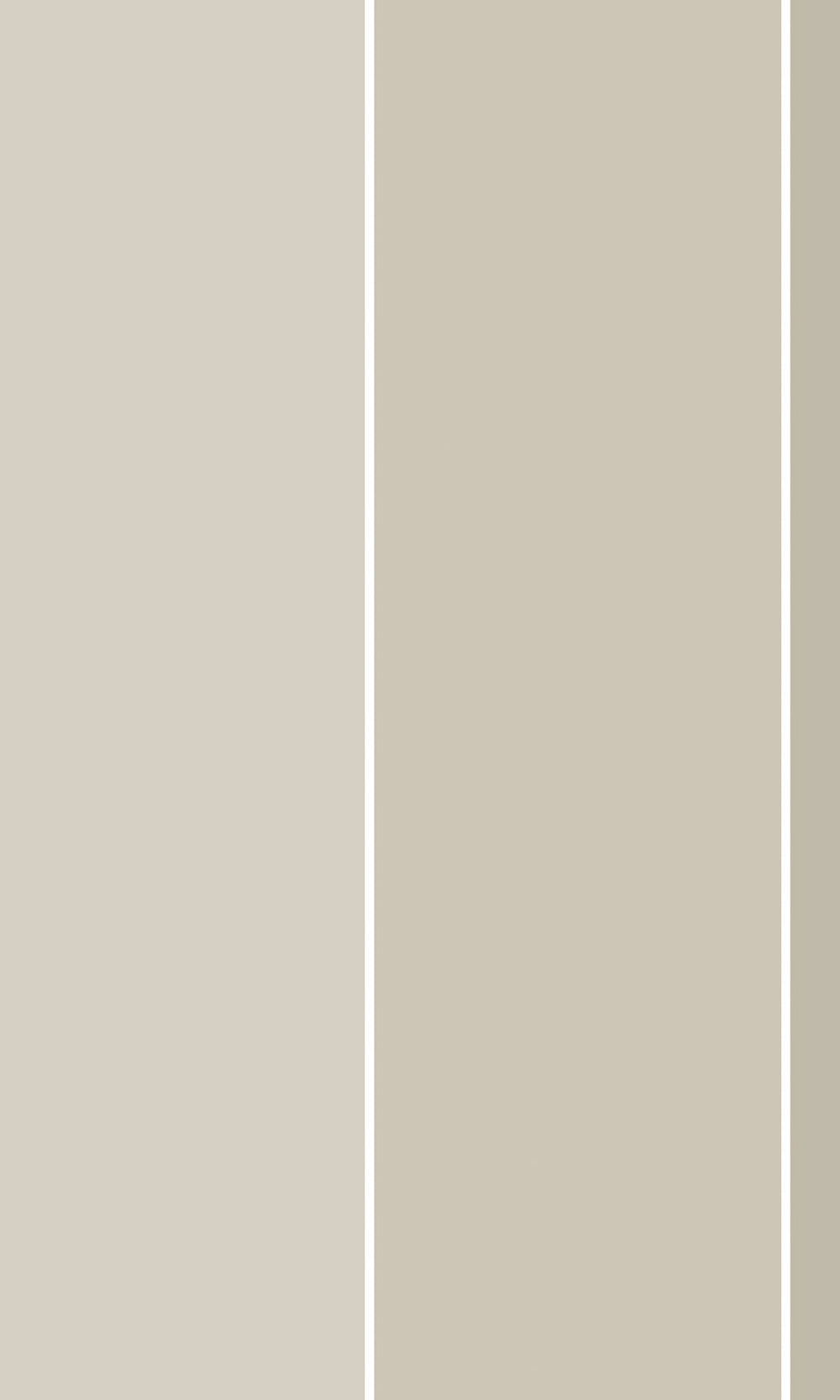 Brown Bayadere Stripes Murals M2655 - Sample