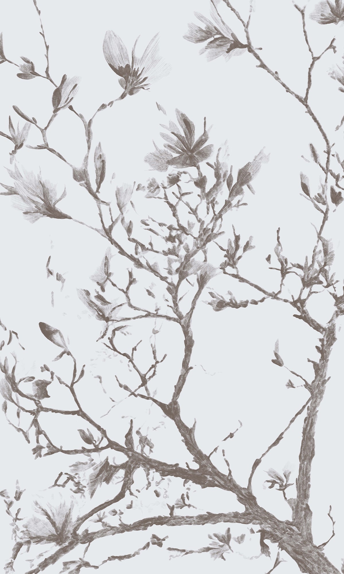 Taupe Magnolias In Bloom Murals M2667 - Sample