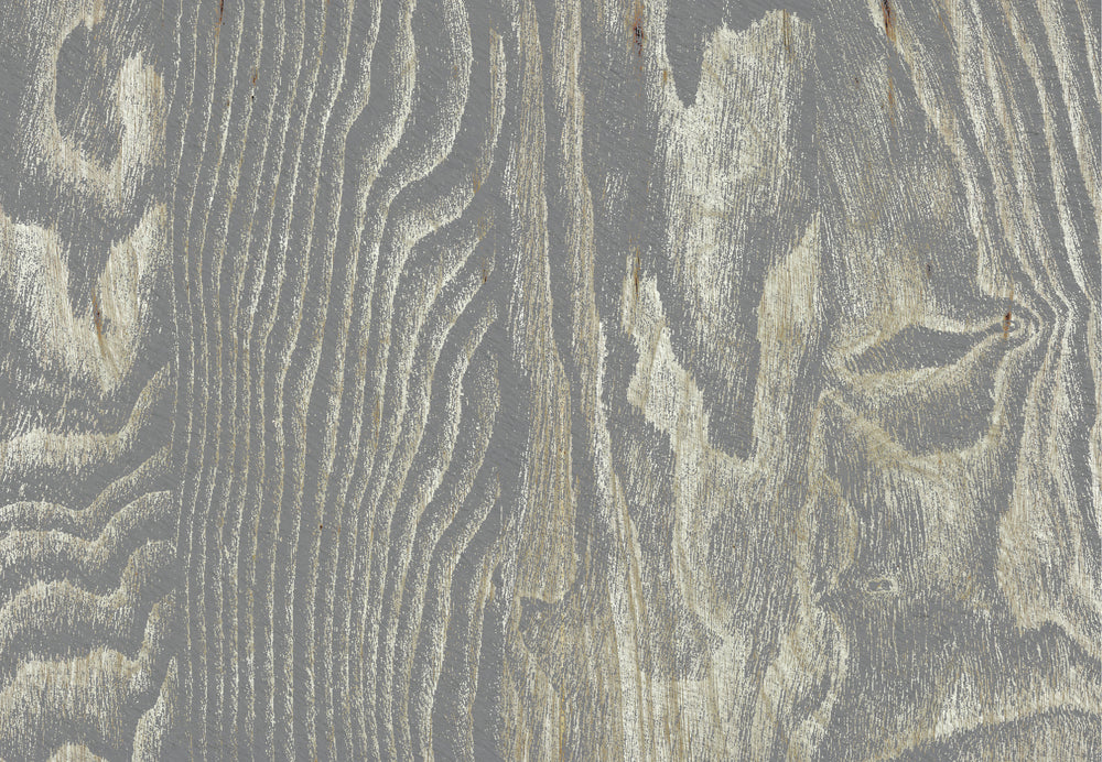 Gray Abstract Tree Bark Wall Mural M2646