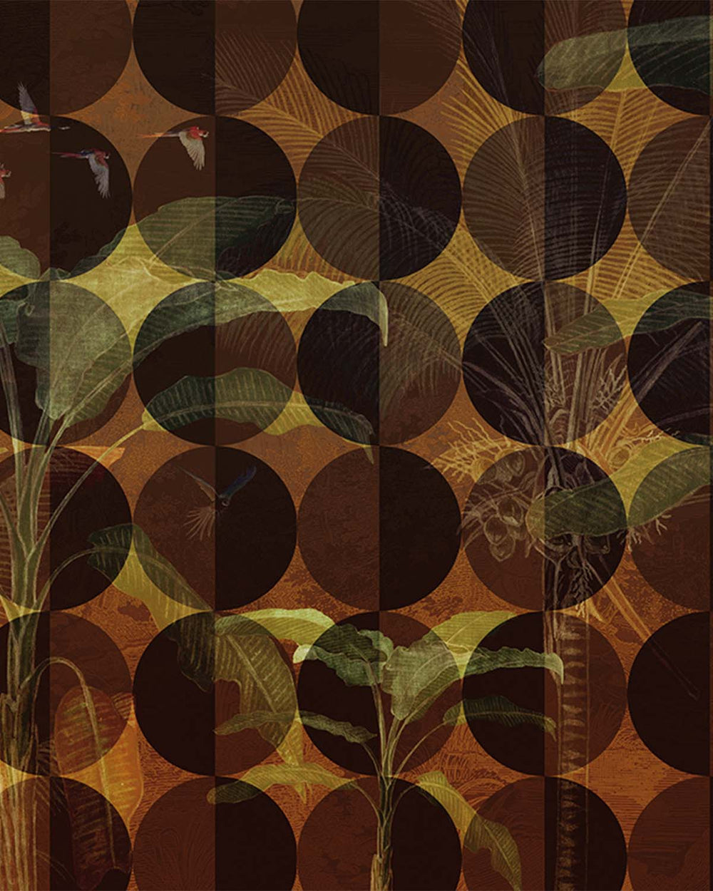 Orange Circular Nature M9465