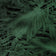 Green (this color)