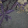 Purple (this color)