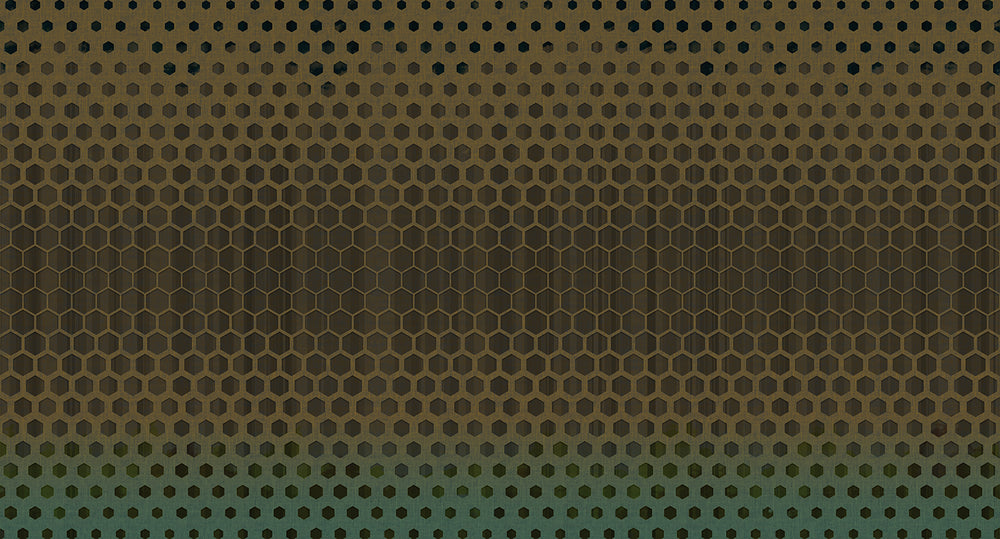 Brown Metamorphosing Hexagons Wall Mural M9540