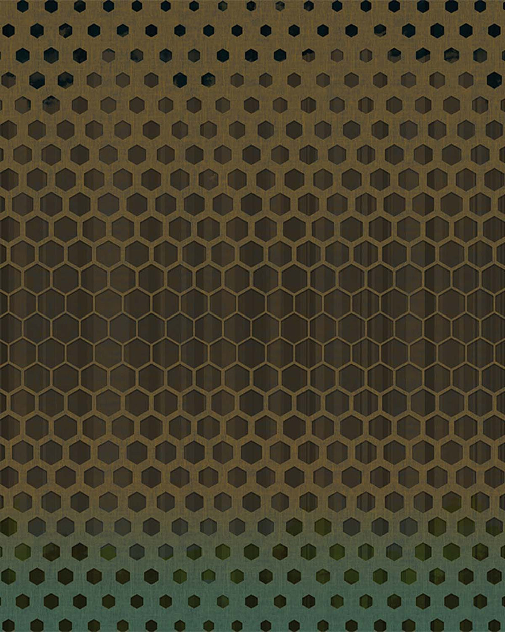 Brown Metamorphosing Hexagons Wall Mural M9540