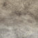 Cloudy Beige
