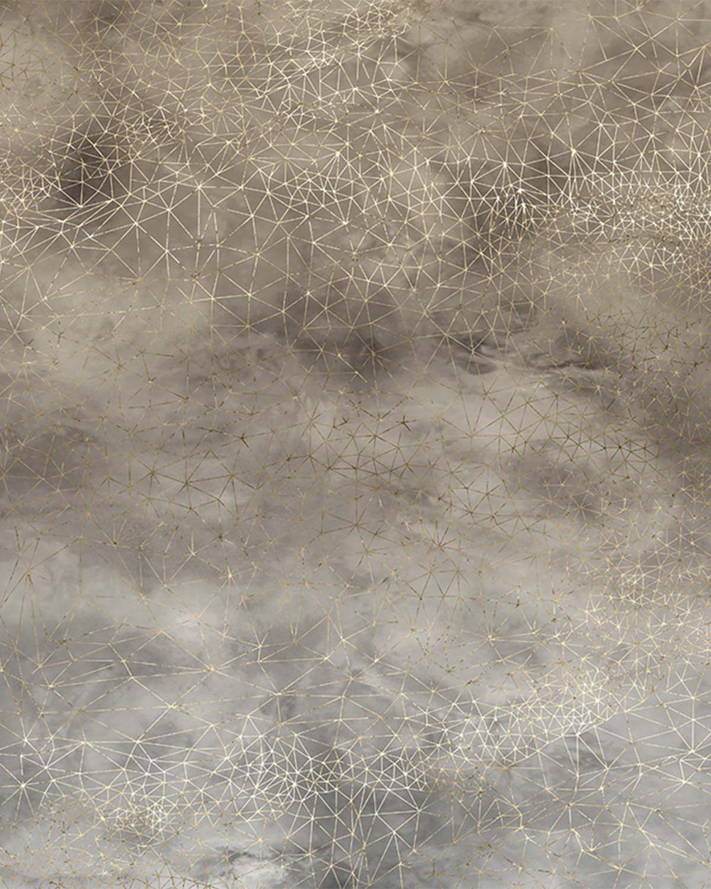 Cloudy Beige Star Mesh M9866