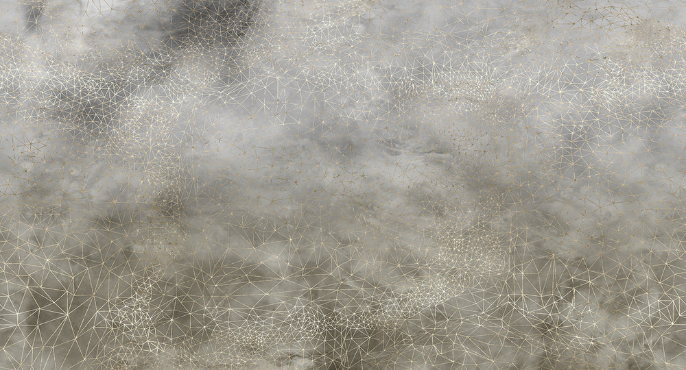 Cloudy Grey Star Mesh M9867