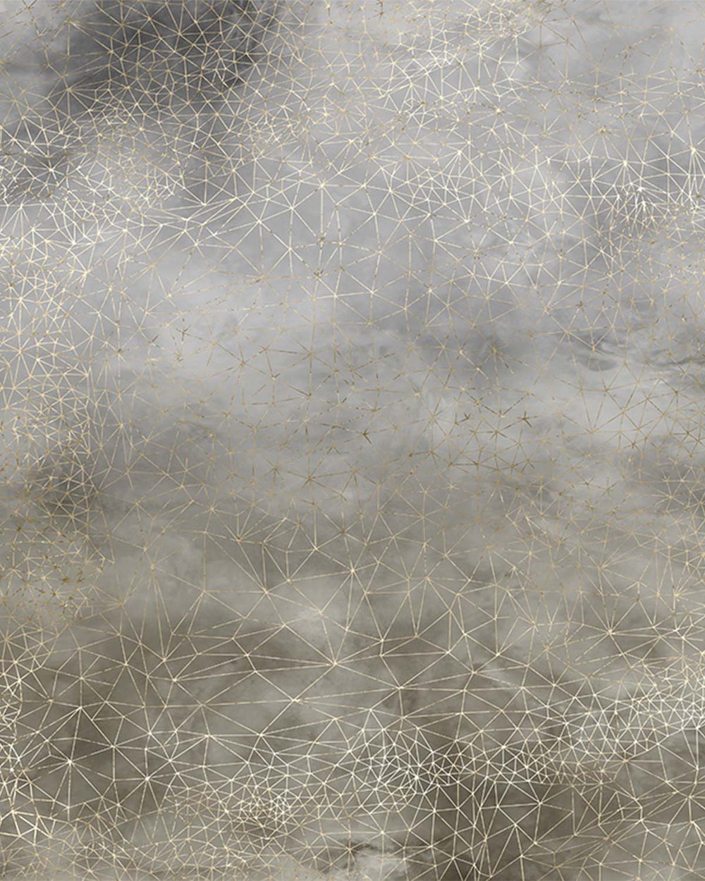 Cloudy Grey Star Mesh M9867