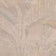Beige (this color)