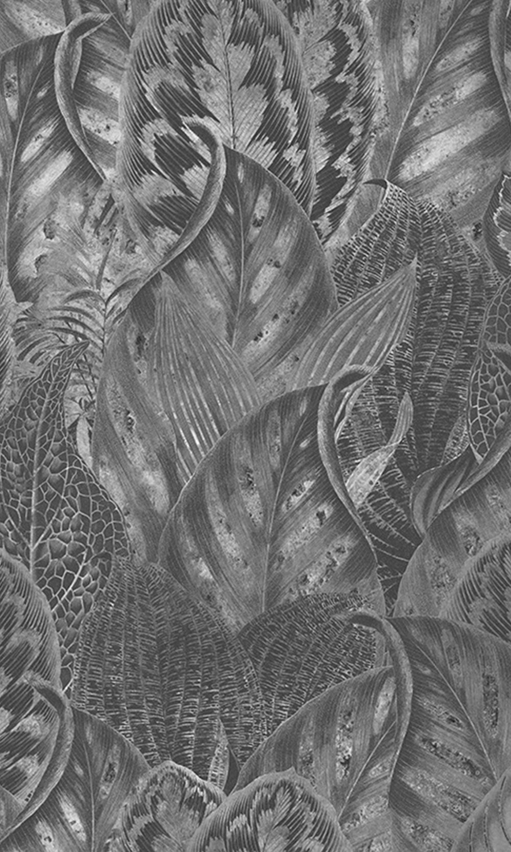 Charcoal Vibrant Leafy Collage Mural Wallpaper M2556 - Sample