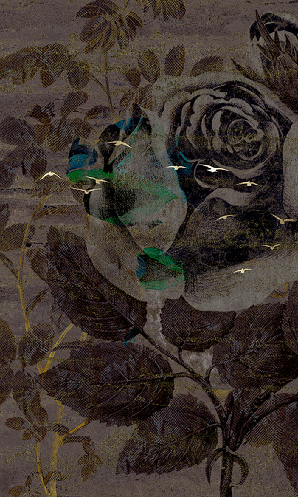 Charcoal Grey Enchanted Roses Mural Wallpaper M2567 - Sample