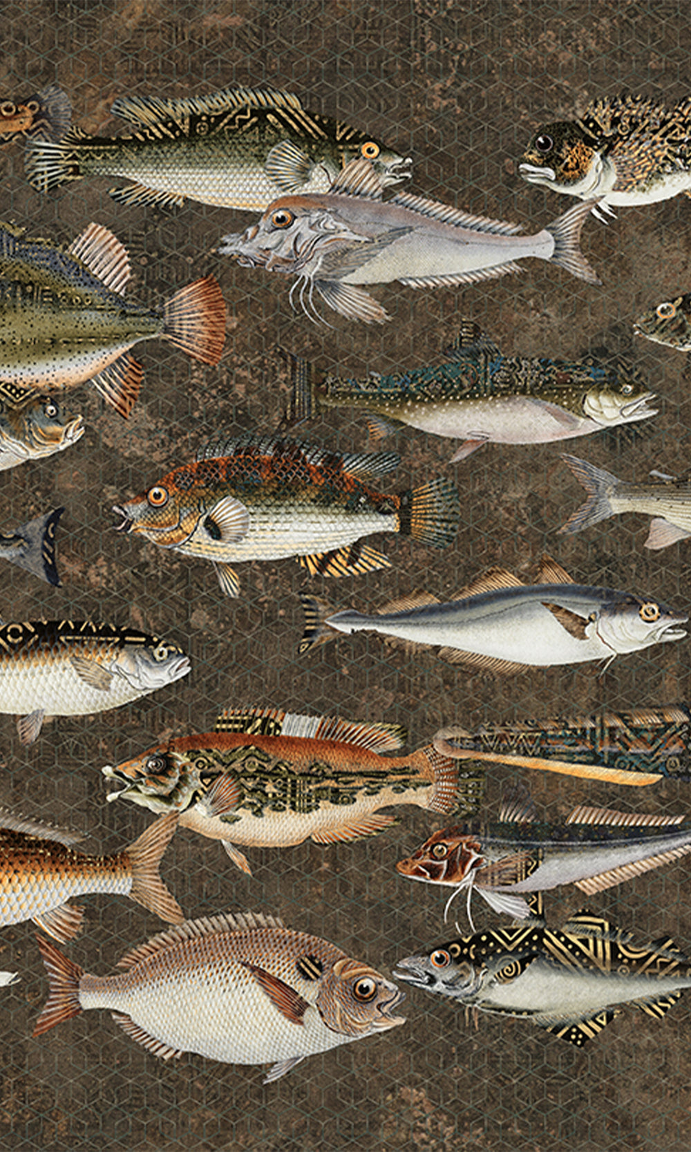 Charcoal Underwater Bounty Mural Wallpaper M2597 - Sample