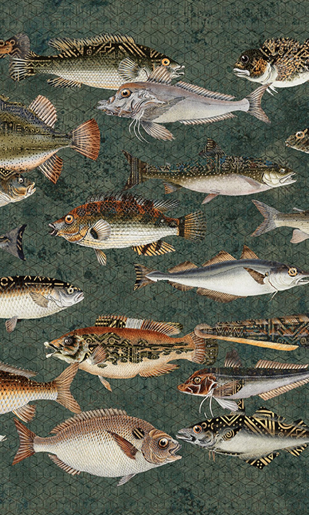 Dark Green Underwater Bounty Mural Wallpaper M2598 - Sample