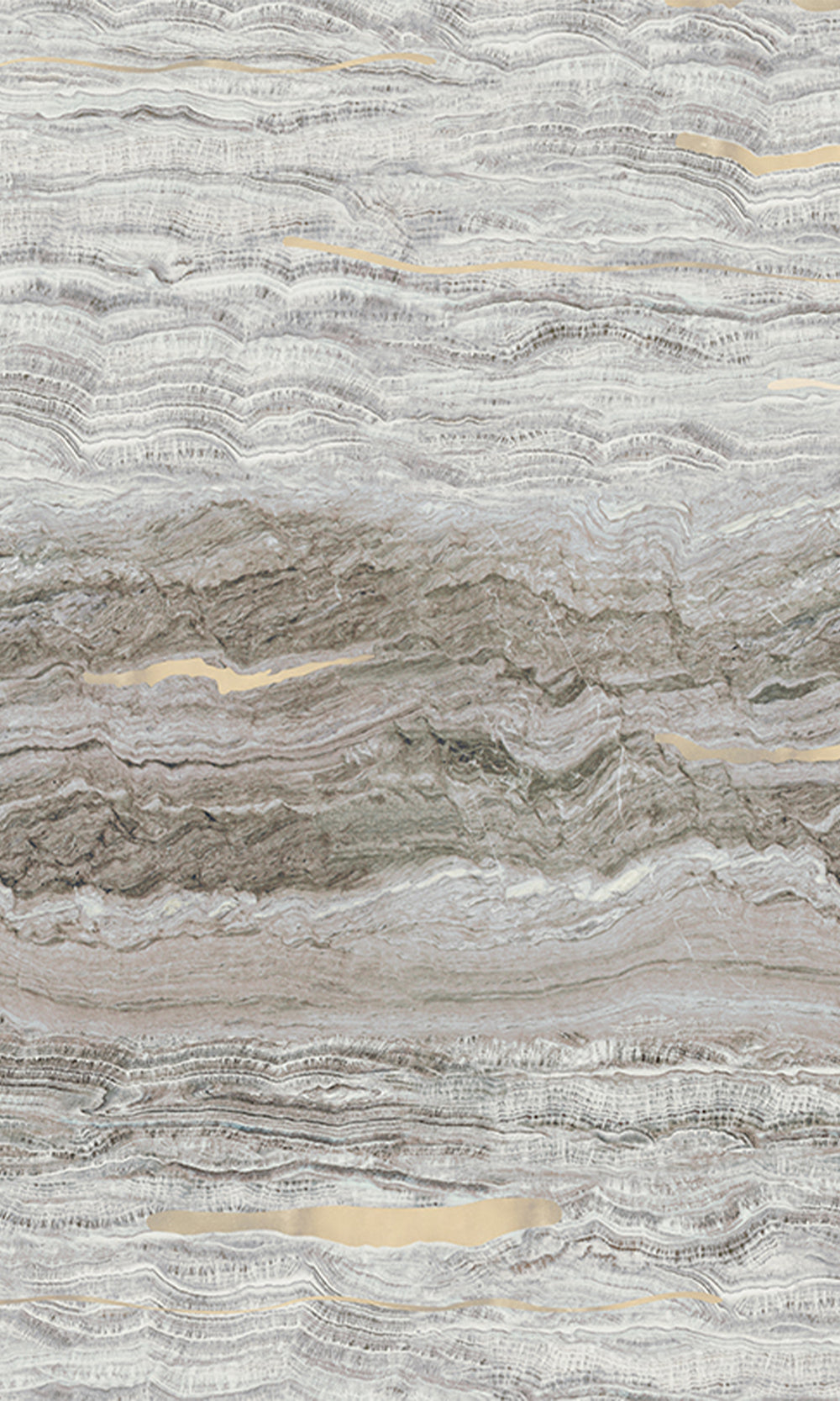 Ash Brown Clouds of Jupiter Wall Mural M2611