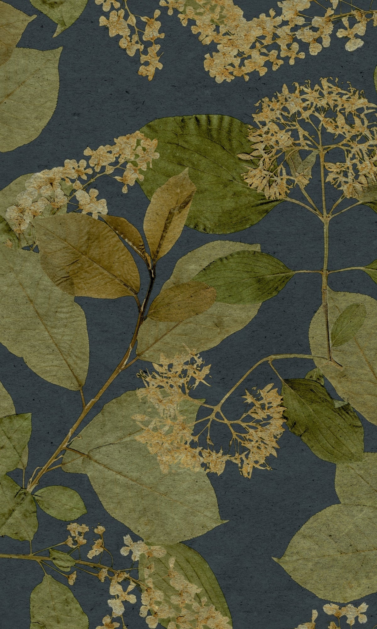 Midnight Blue Tropical Leaves Wallpaper R9132