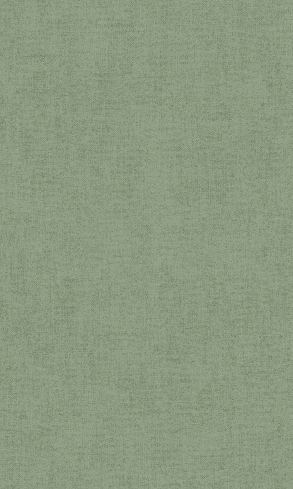 Moss Green Simple Plain Wallpaper R9310