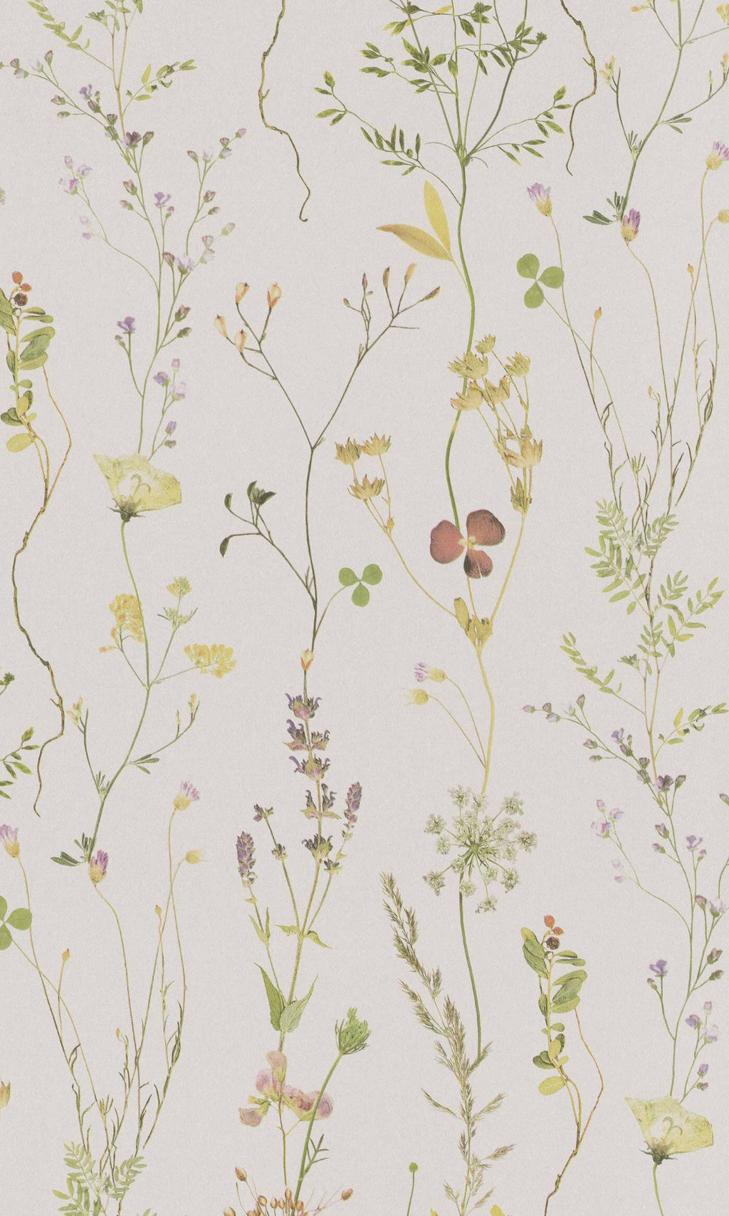 Multicolour Flowers in the Meadows Floral Wallpaper R8578