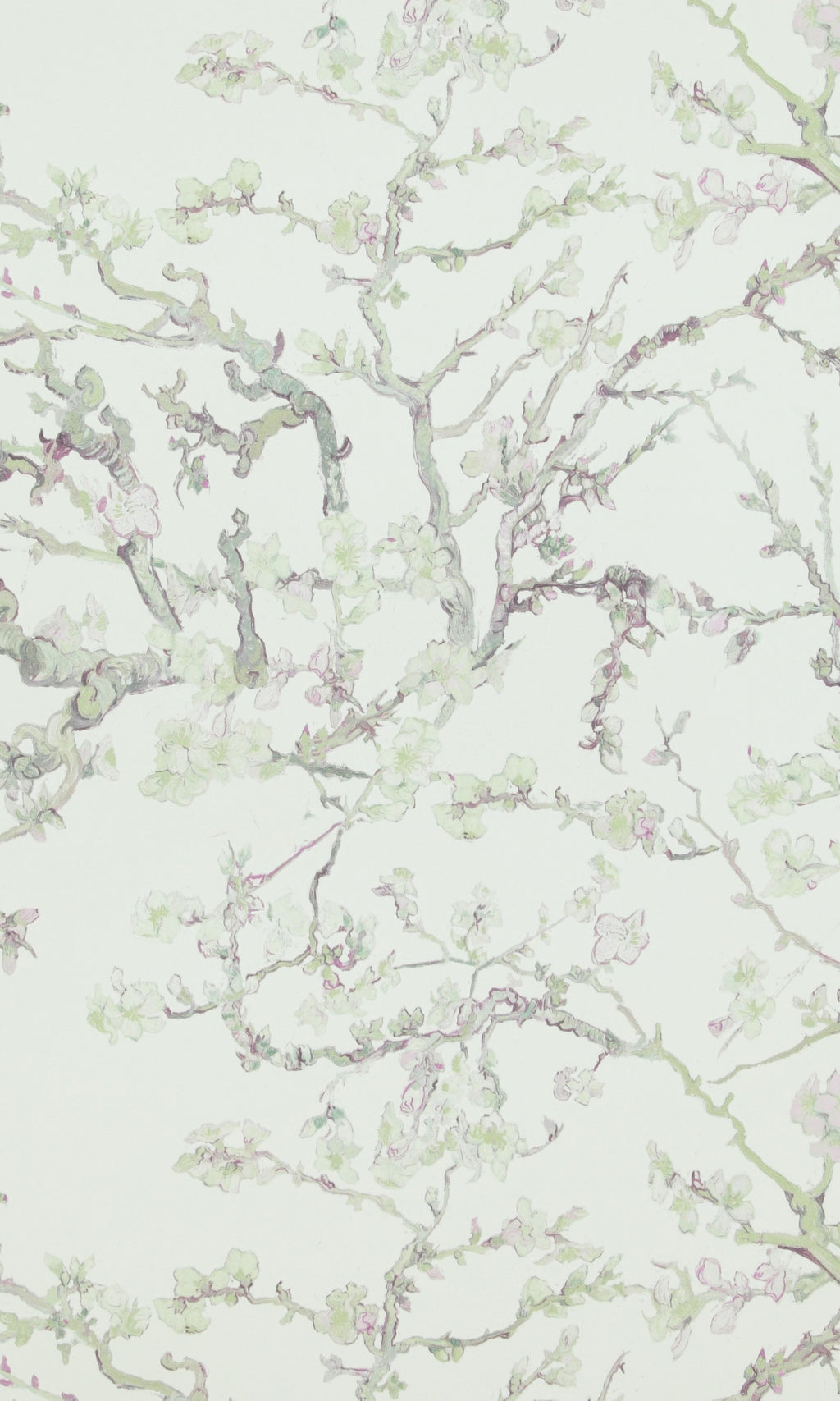 Natural  Almond Blossom Floral Wallpaper R8484