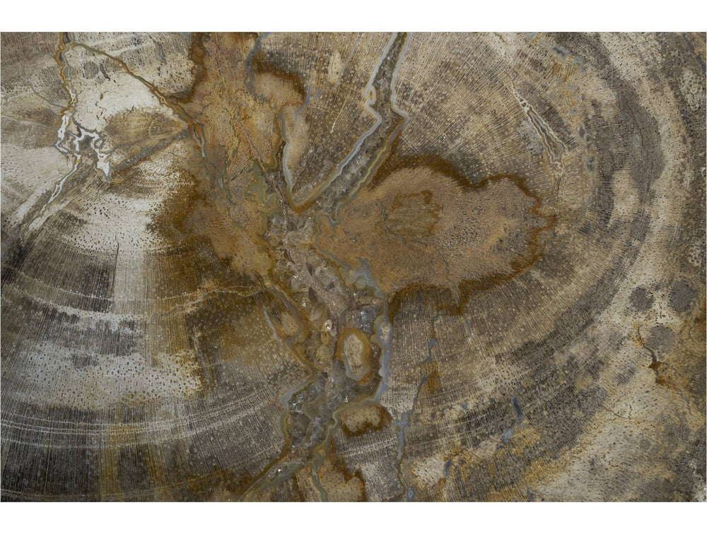Neutral Classic Petrified Wood Mural Wallpaper M1393
