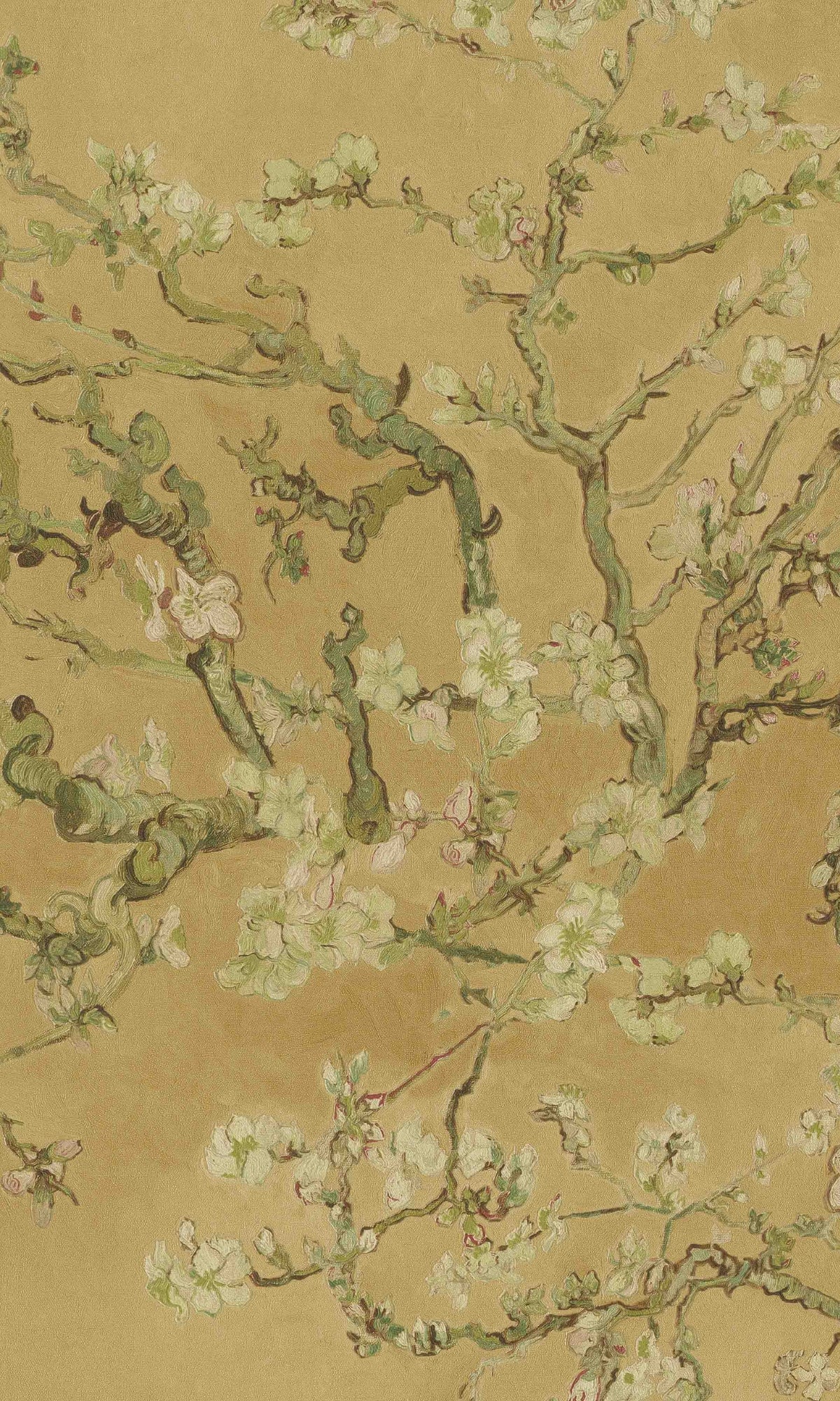 Ochre Almond Blossom Floral Wallpaper R8491