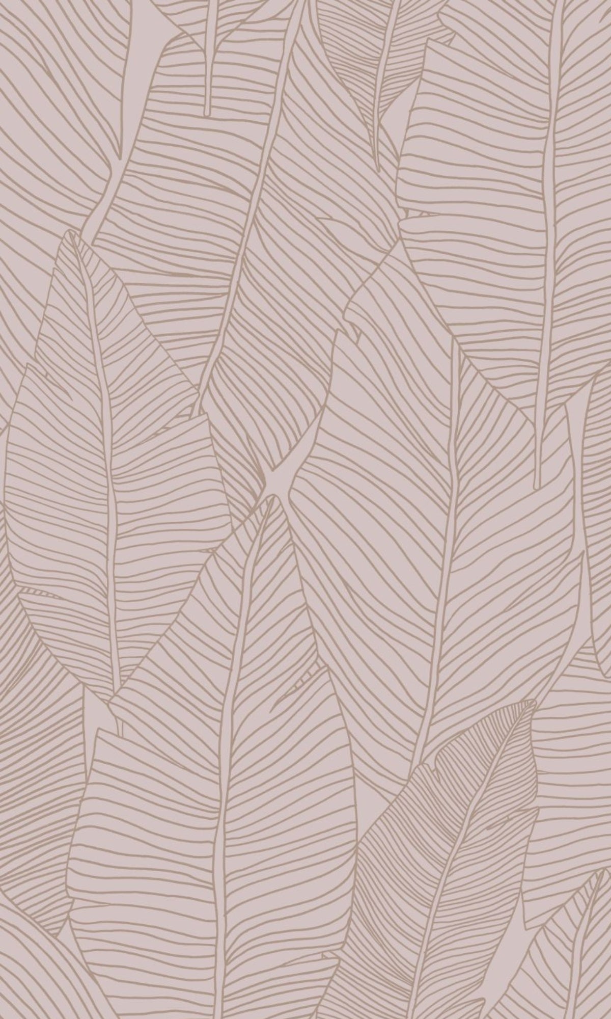 Pink Leaf Outline Abstract Wallpaper R8337