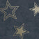 Blue/Gold (this color)