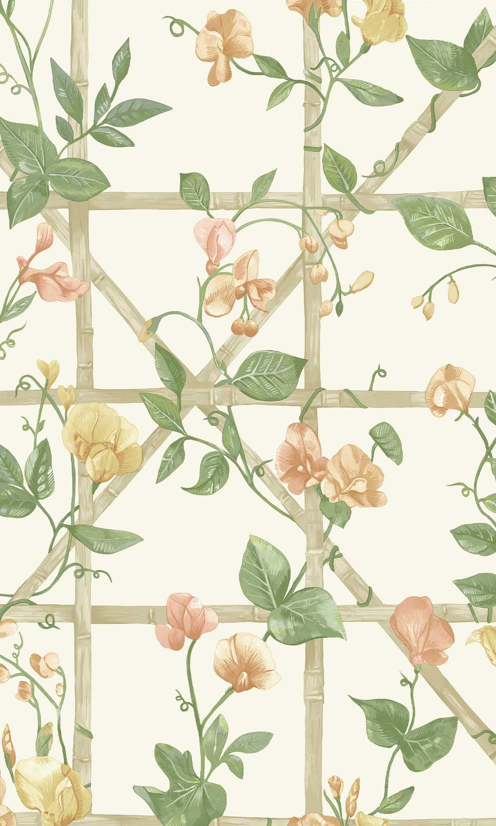 Orange Cream Trailing Floral Vines Wallpaper R10072