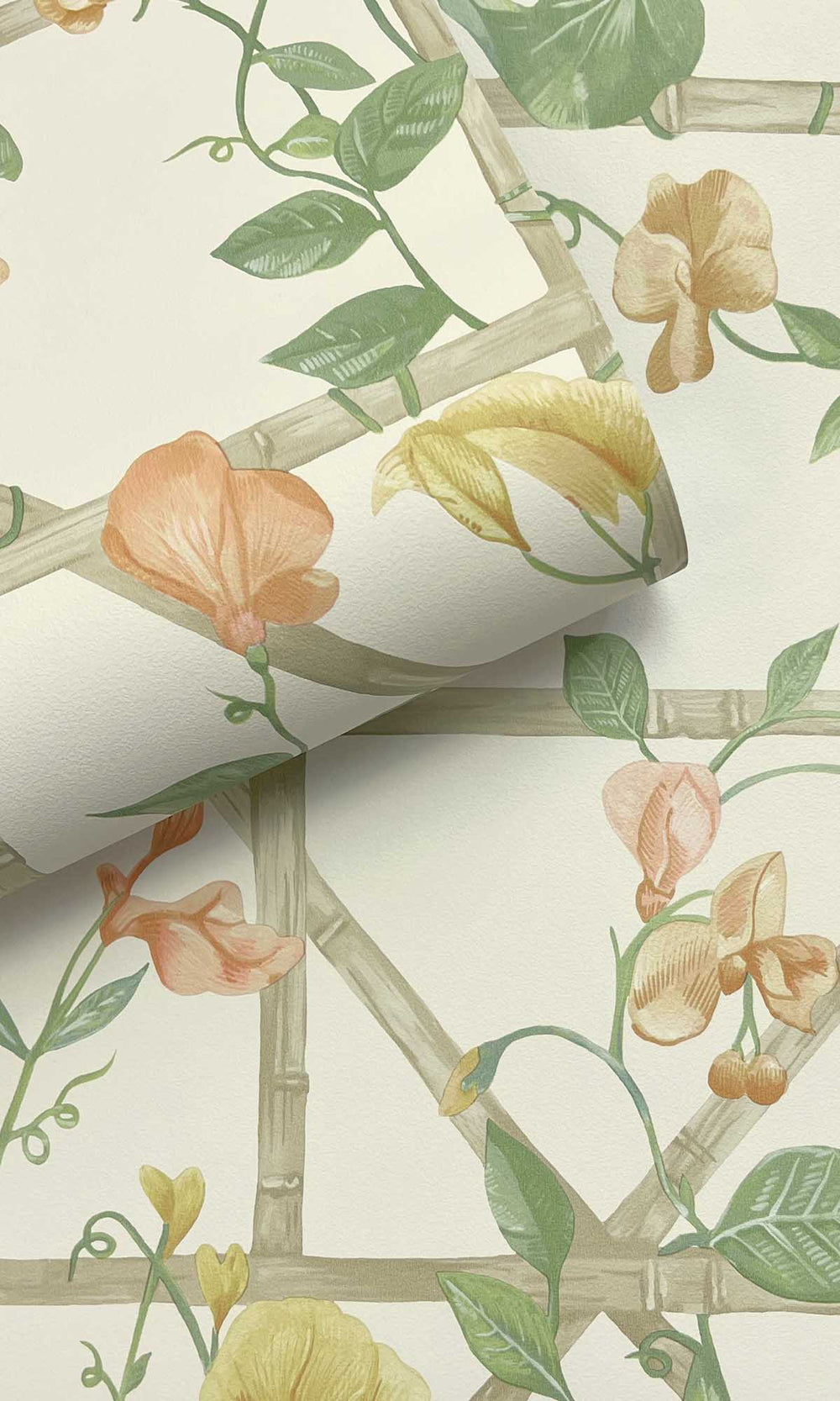 Orange Cream Trailing Floral Vines Wallpaper R10072