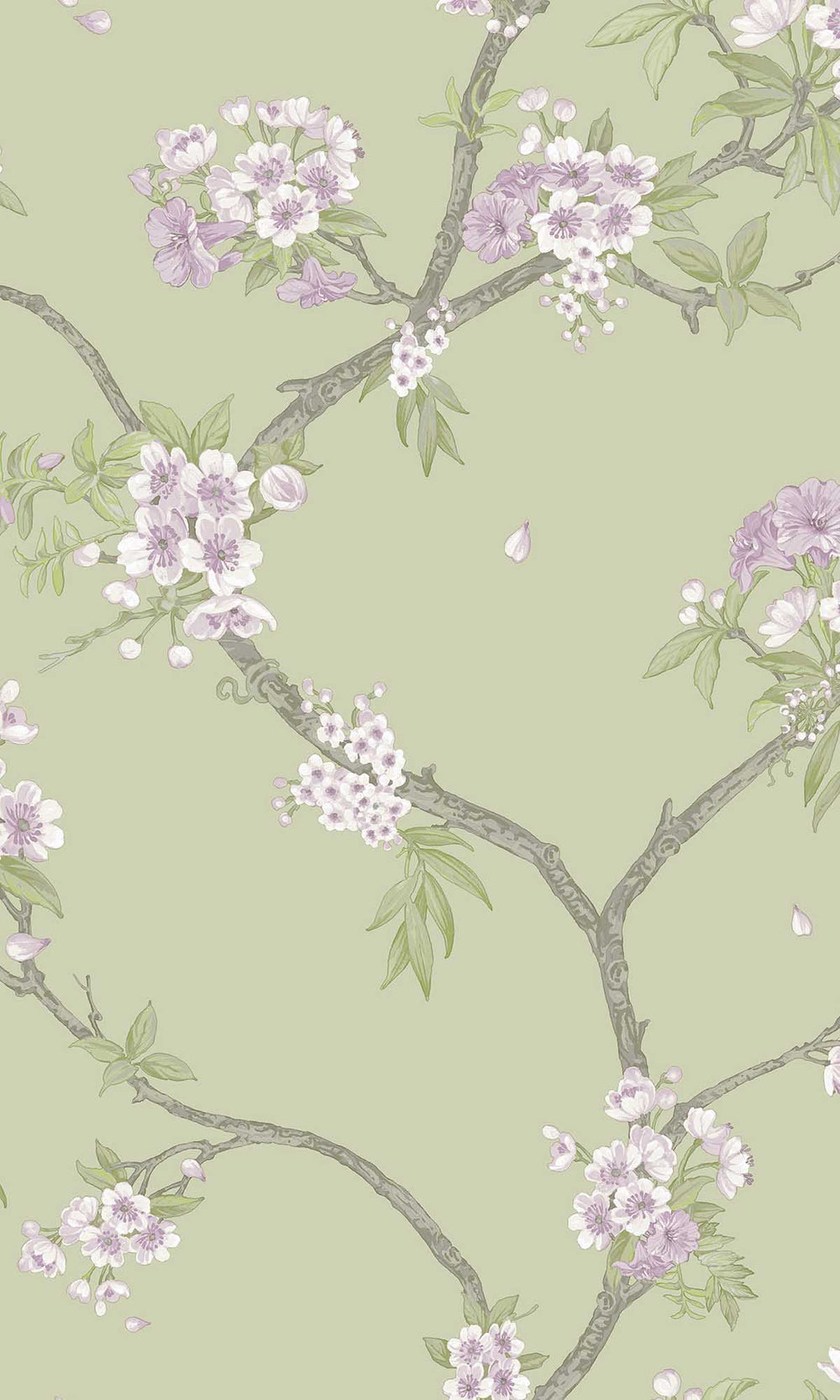 Sage Heather Blooming Cherries Wallpaper R10075