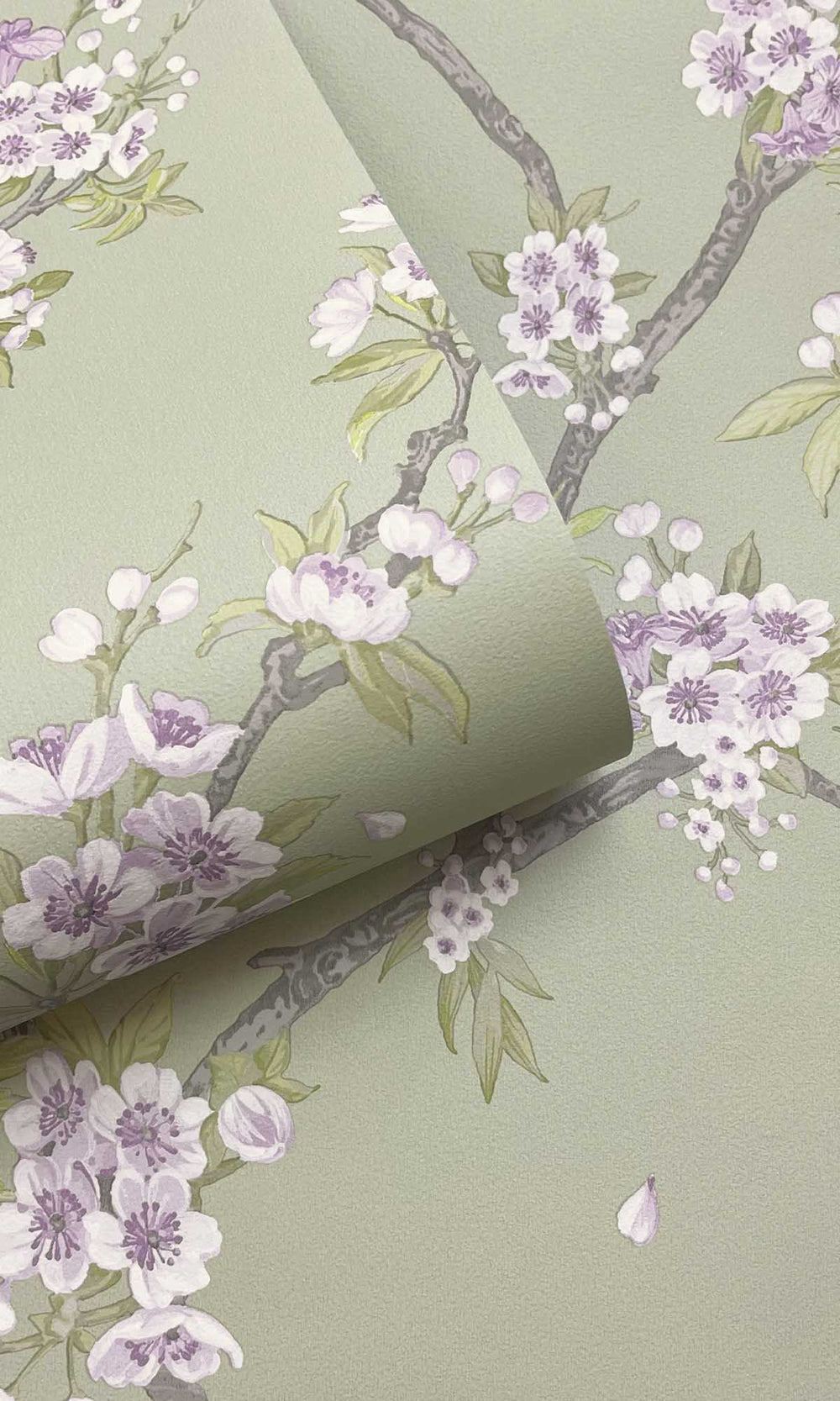 Sage Heather Blooming Cherries Wallpaper R10075